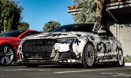 Audi S3 snow camo108