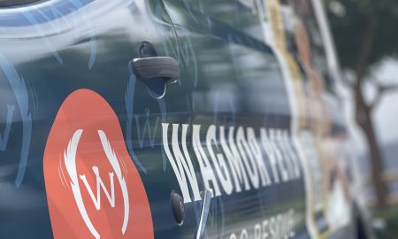 Wagmor Pet voertuig wrap19