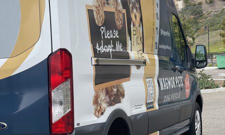Wagmor Pet voertuig wrap24