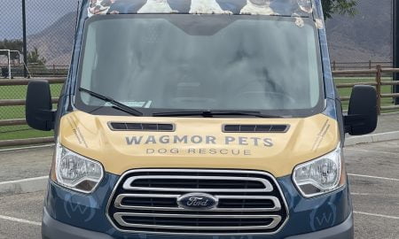 Wagmor Pet voertuig wrap25