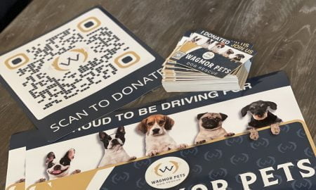 Wagmor Pet voertuig wrap6