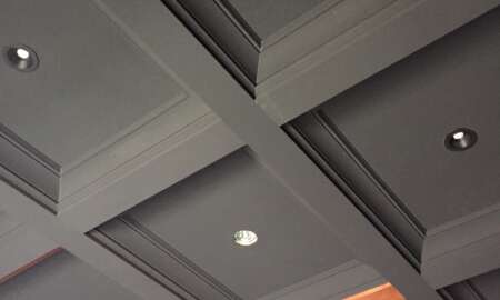 Library Room Carbon Canyon Road Black Velvet 3