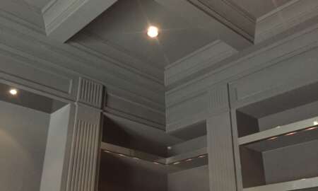 Library Room Carbon Canyon Road Black Velvet 7