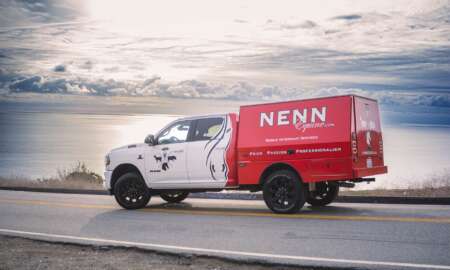 Nenn Paarden achteraanzicht