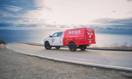 nenn Paarden rugzicht