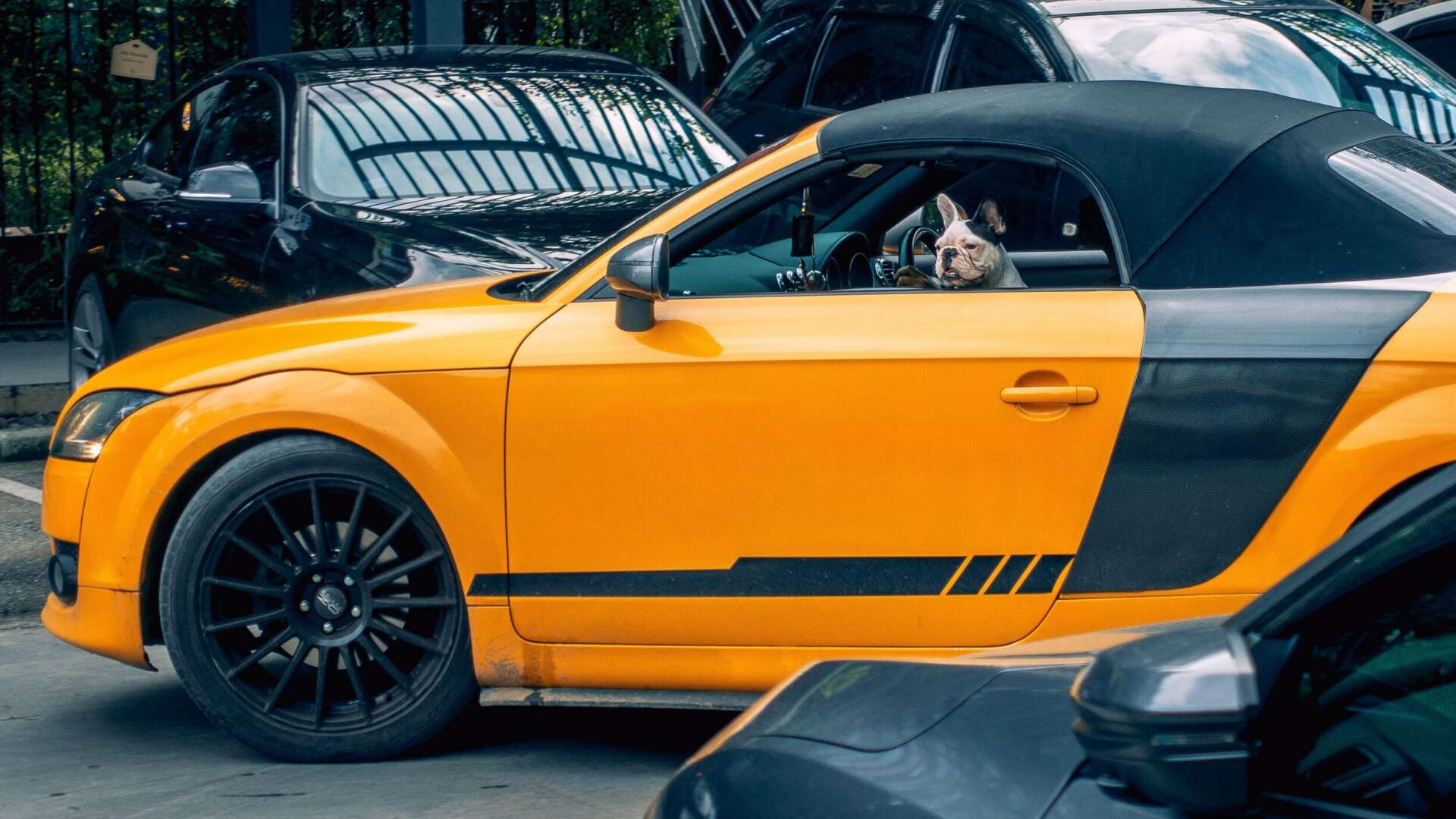 Car Wrap