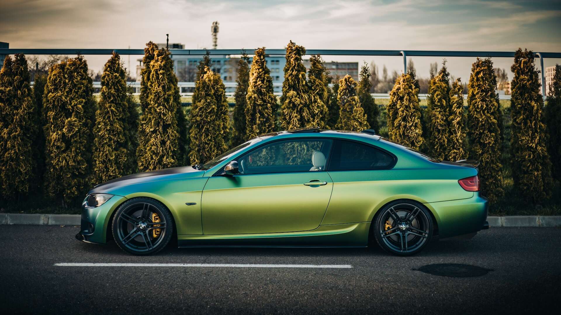 Auto Wraps