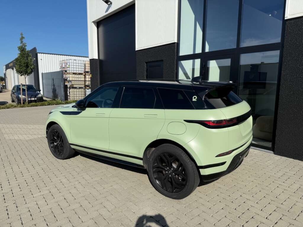 Celine Van Ouytsel wrap