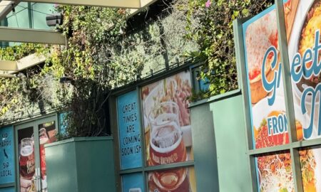 Malibu-Brewing-Window-graphics-2-1