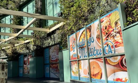 Malibu-Brewing-Window-graphics-4-1