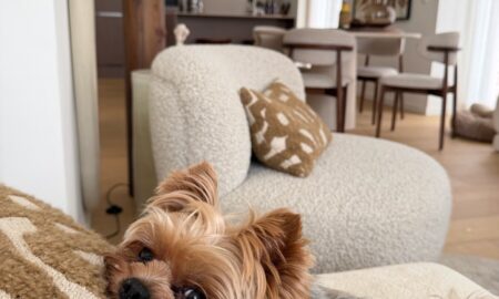 12-ralph-dog-celine-van-ouytsel-kitchen-1