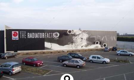 car wrap
