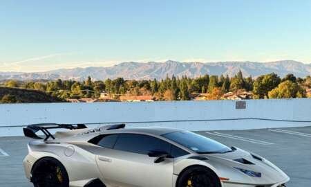 AUTOMOTIVE WRAPS